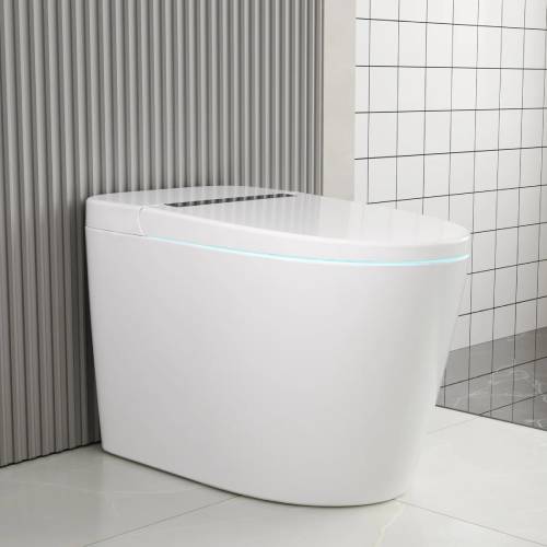 DeerValley Smart Toilet with Auto Flush & Heated Seat (Like New) - F727
