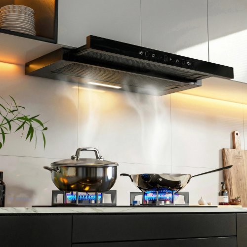 Advwin 30" 750 CFM Pull-Out Range Hood Insert